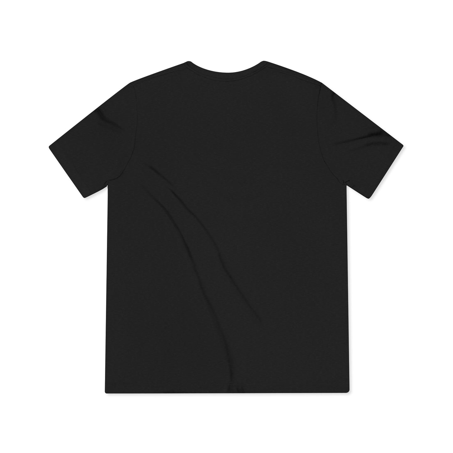 No Speaking Vietnamese Tee - Unisex Triblend